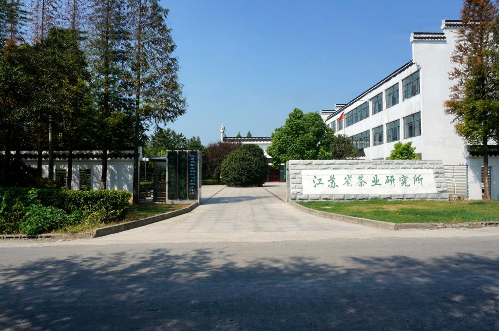 茶业研究所